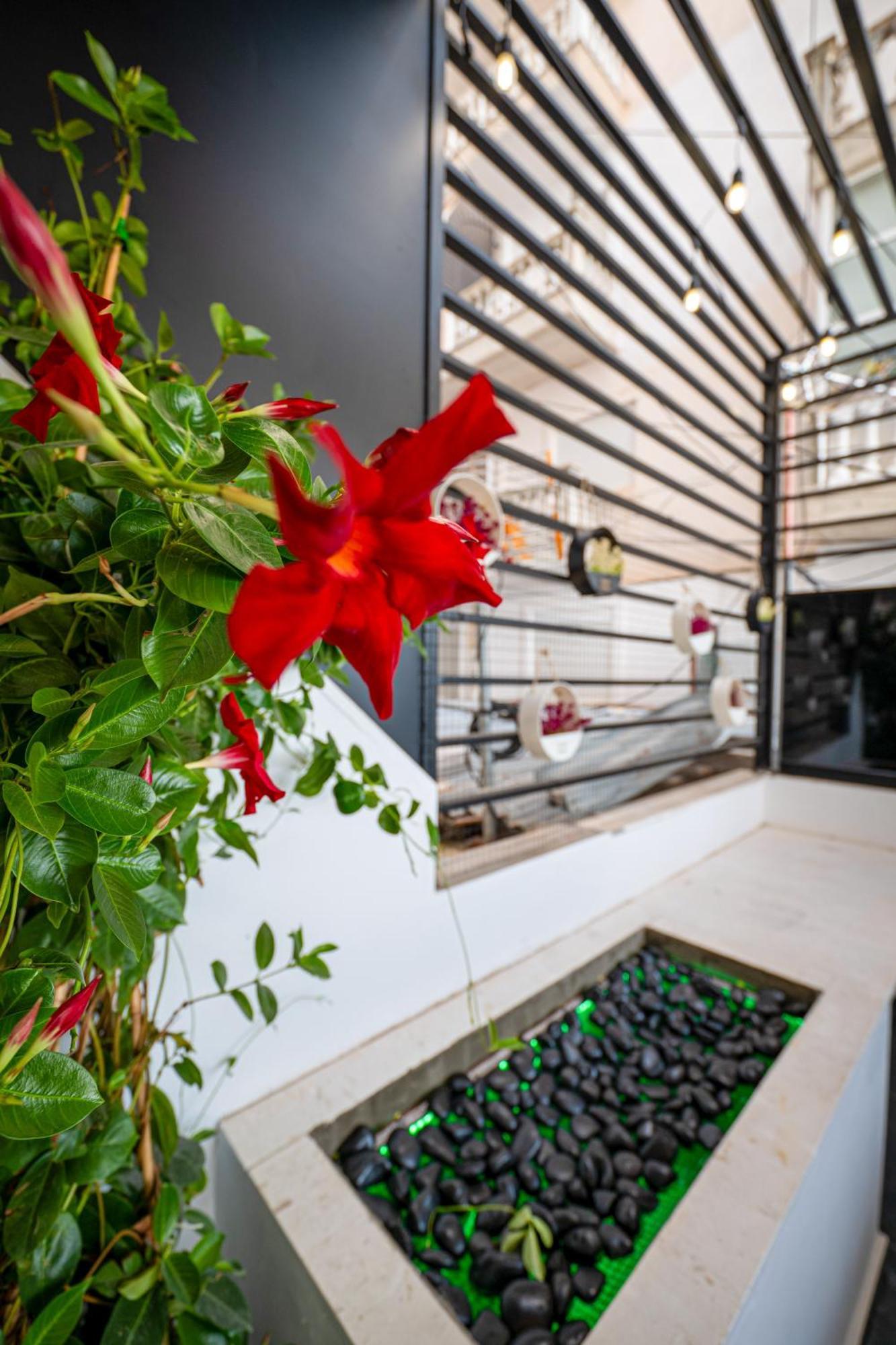 Mato Luxury Apartments Sarandë Eksteriør bilde